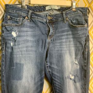 Torrid skinny jeans/ plus size skinny jeans